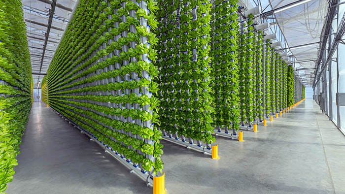 urban-agriculture-vertical farming overview