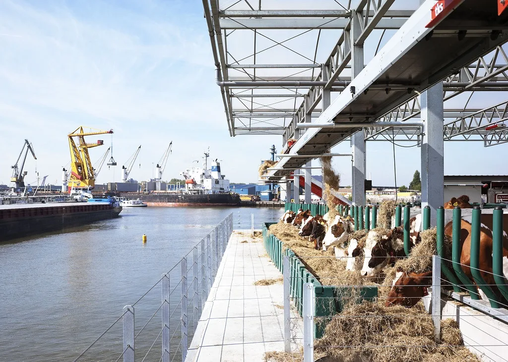 fermes flottantes durables